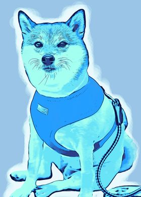 Blue Shiba Cartoon