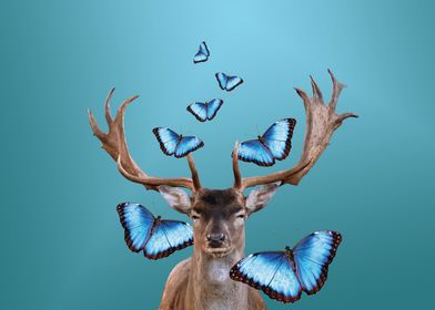 Reindeer Morph Butterflies