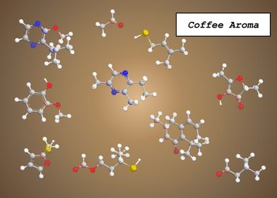 Coffee Aroma