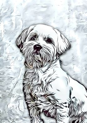 Maltese cute dog painting