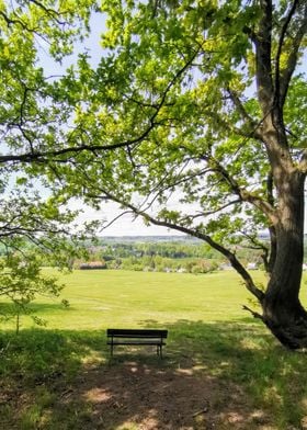bench with a view in may