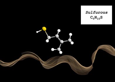 Coffee Aroma Sulfurous