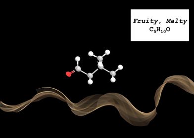 Coffee Aroma Fruity Malty