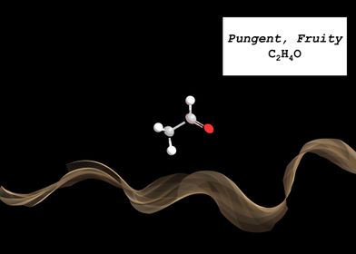 Coffee Aroma Pungent Fruit