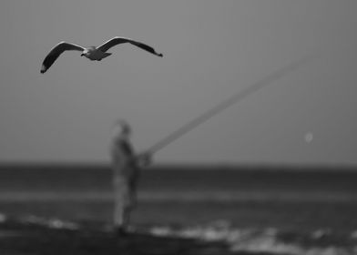 Fisherman behind a seagull