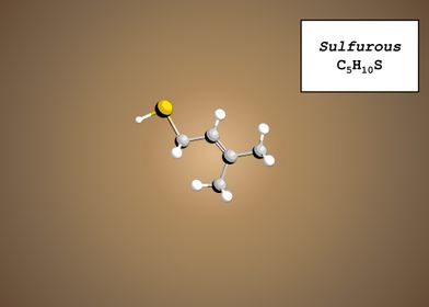 Coffee Aroma Sulfurous