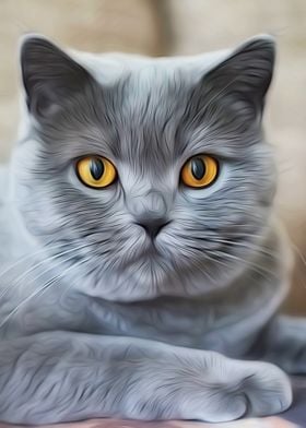 Chartreux