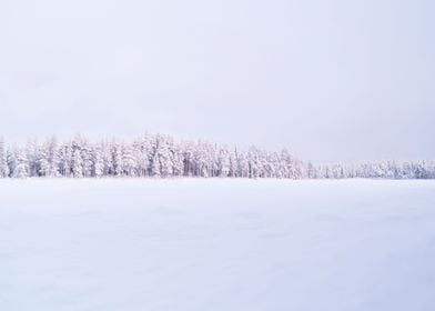 Frozen lake