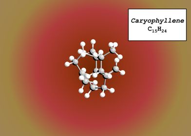 Caryophyllene