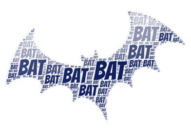 Bat Word Cloud