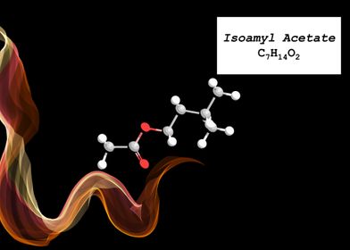 Isoamyl Acetate