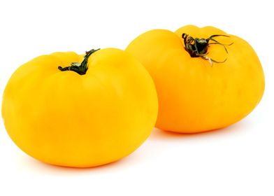 Yellow tomatoes