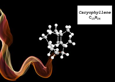 Caryophyllene