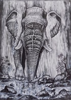 ELEPHANT FROM WATERFALL