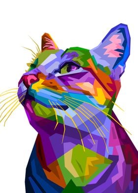 Colorful cat