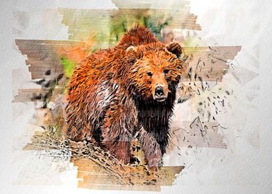 Brown bear  watercolor