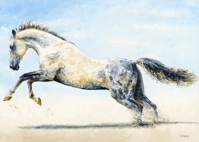 Break Free  Arabian Horse