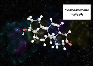 Testosterone