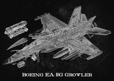 Boeing EA18G Growler