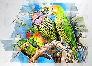 watercolor Parrot 