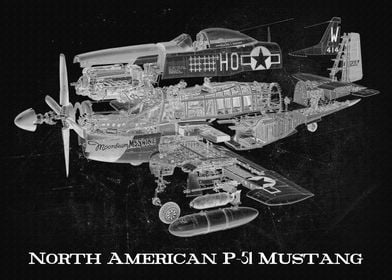 North American P51 Mustan