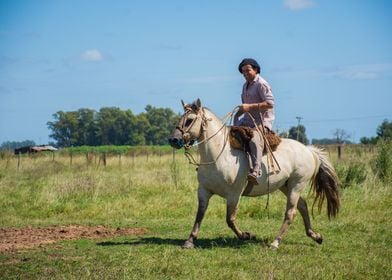 Gaucho