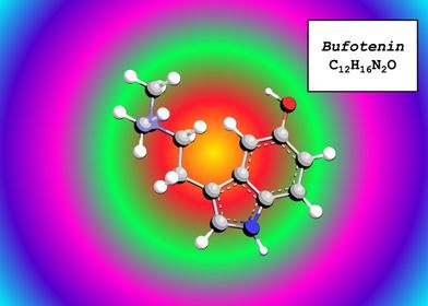 Bufotenin