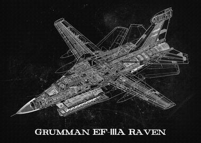 Grumman EF111A Raven