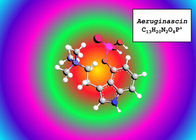 Aeruginascin