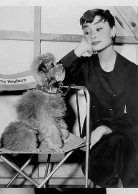 Audrey Hepburn With Dog 