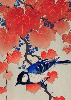 Blue Bird Traditional Japa