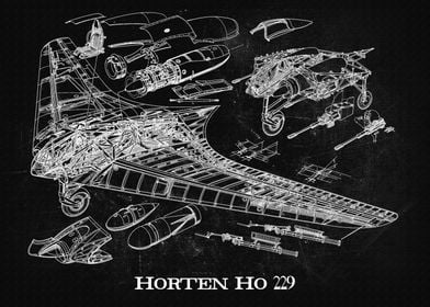 Horten Ho 229