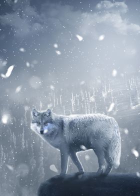 Wolf in snowy mountain