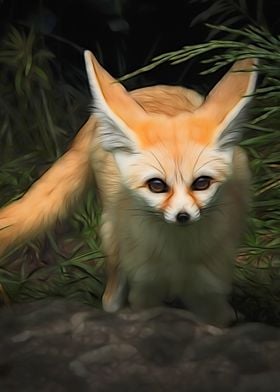 Fennec Fox