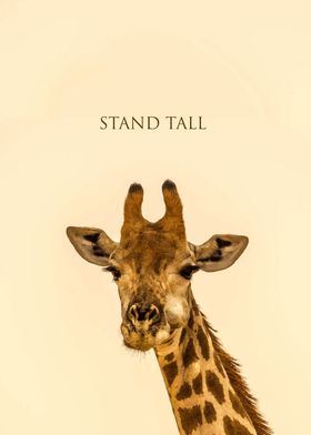 STAND TALL