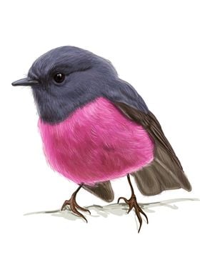 Pink Bird