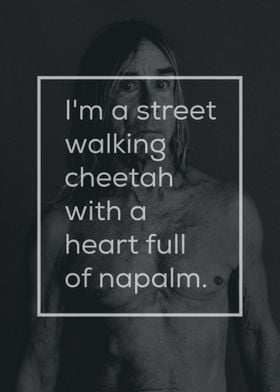 Iggy Pop Quote 003