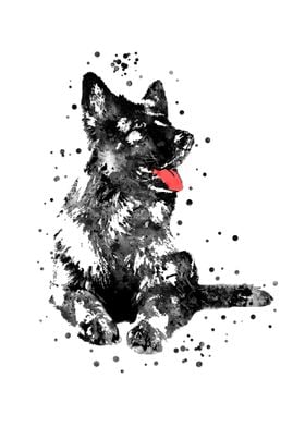 German Shepherd 