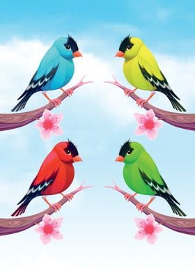 Cute birds