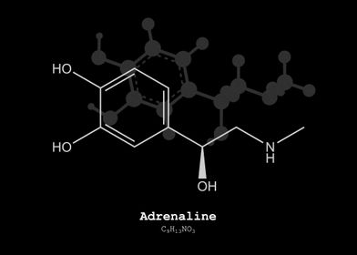 Adrenaline