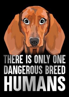 Dangerous Breed