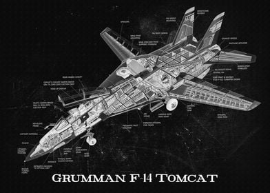 Grumman F14 Tomcat