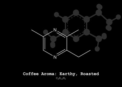 Coffee Earthy Roasted