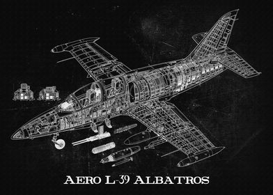 Aero L39 Albatros