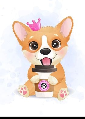 Cute little corgi 