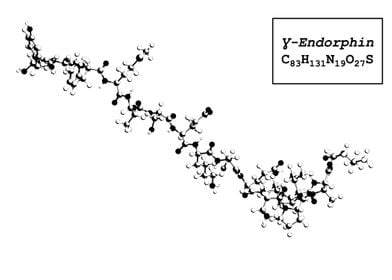 Gamma Endorphin