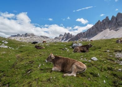 Dolomites 28  Italy