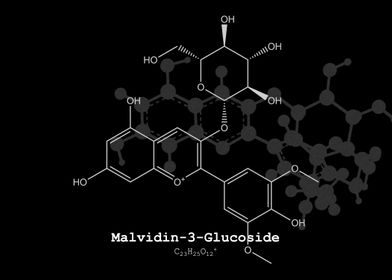 Malvidin 3 Glucoside