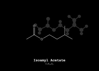 Isoamyl Acetate