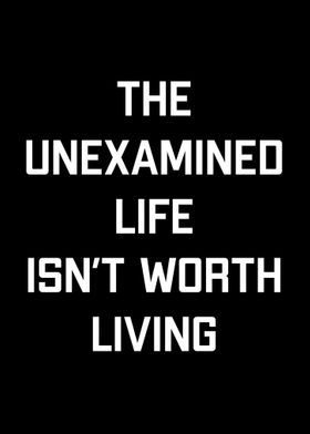 The Unexamined Life